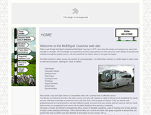 Tablet Screenshot of mcelligottcoaches.com